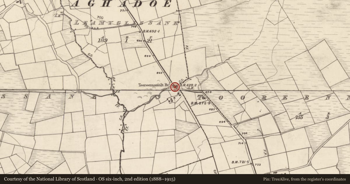 Ordnance Survey six-inch map, 2nd edition (1888–1915) covering the location of Bridge, County Kerry, with a pin at the register's coordinates