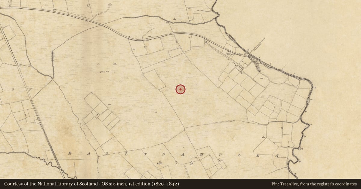 Ordnance Survey six-inch map, 1st edition (1829–1842) covering the location of Burnt mound, Ballynahulla, County Kerry, with a pin at the register's coordinates