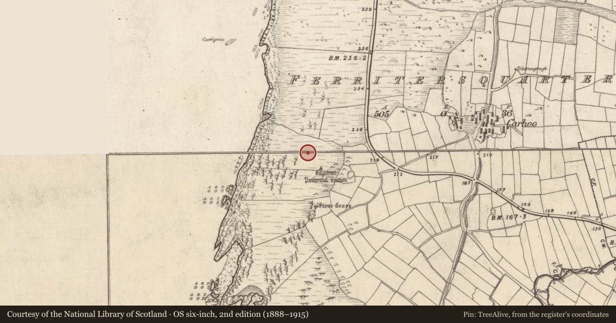 Ordnance Survey six-inch map, 2nd edition (1888–1915) covering the location of Hut site, Ceathrú An Fheirtéaraigh, County Kerry, with a pin at the register's coordinates