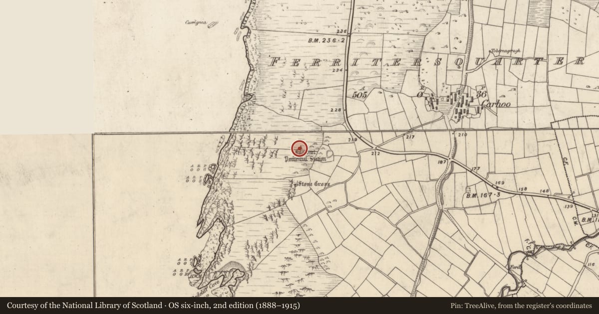 Ordnance Survey six-inch map, 2nd edition (1888–1915) covering the location of Hut site, Ceathrú An Fheirtéaraigh, County Kerry, with a pin at the register's coordinates
