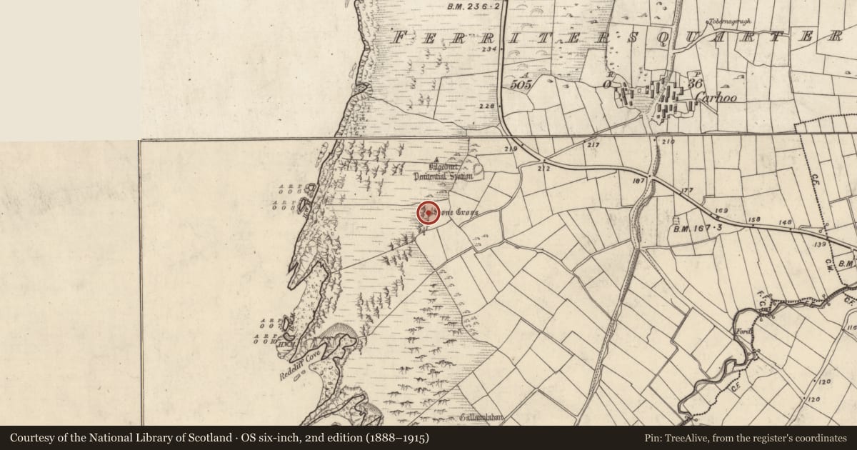 Ordnance Survey six-inch map, 2nd edition (1888–1915) covering the location of Cross, Ceathrú An Fheirtéaraigh, County Kerry, with a pin at the register's coordinates