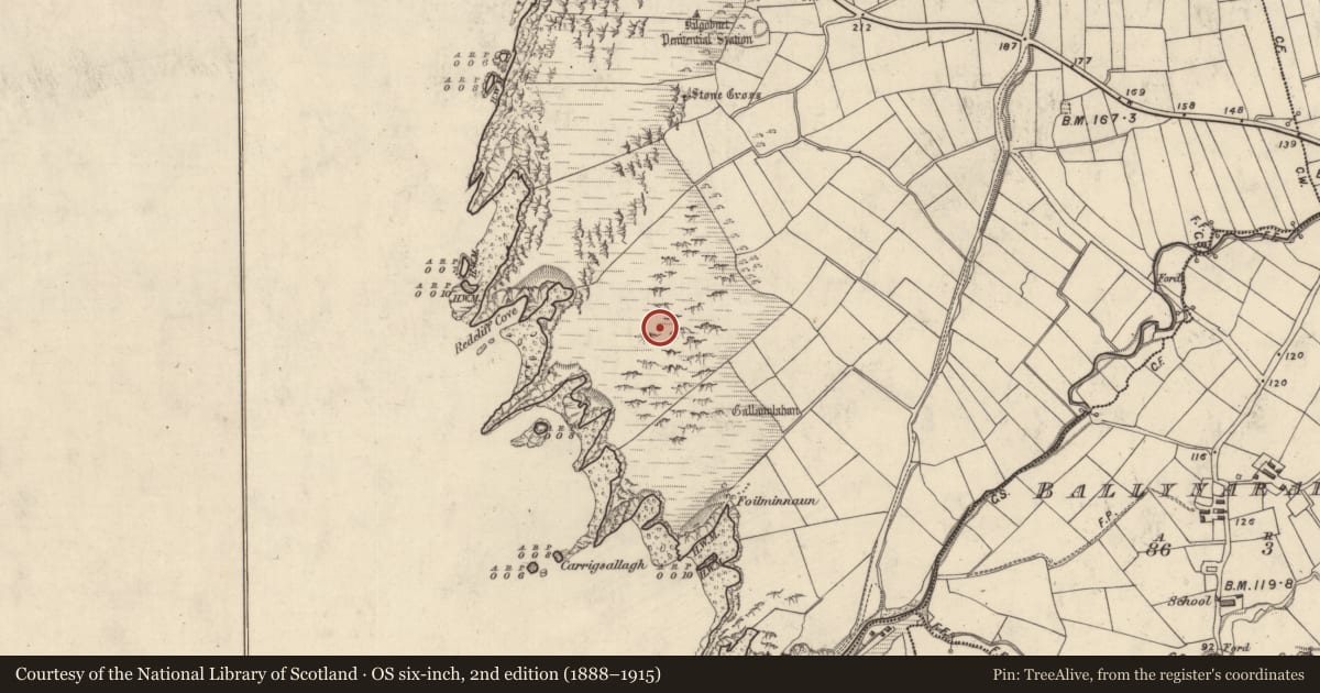 Ordnance Survey six-inch map, 2nd edition (1888–1915) covering the location of Hut site, Ceathrú An Fheirtéaraigh, County Kerry, with a pin at the register's coordinates