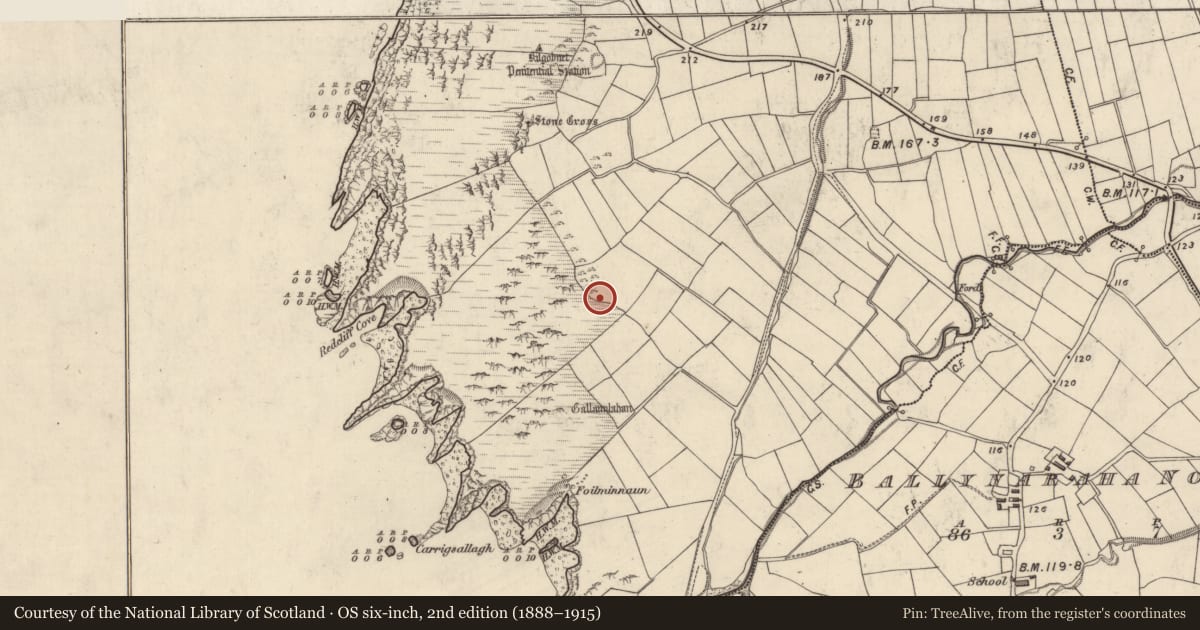 Ordnance Survey six-inch map, 2nd edition (1888–1915) covering the location of Hut site, Ceathrú An Fheirtéaraigh, County Kerry, with a pin at the register's coordinates
