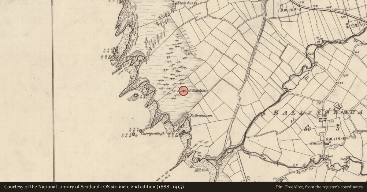 Ordnance Survey six-inch map, 2nd edition (1888–1915) covering the location of Standing stone, Ceathrú An Fheirtéaraigh, County Kerry, with a pin at the register's coordinates