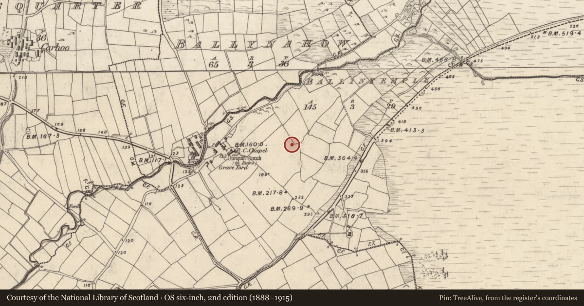 Ordnance Survey six-inch map, 2nd edition (1888–1915) covering the location of Megalithic structure, Baile An Teampaill, County Kerry, with a pin at the register's coordinates