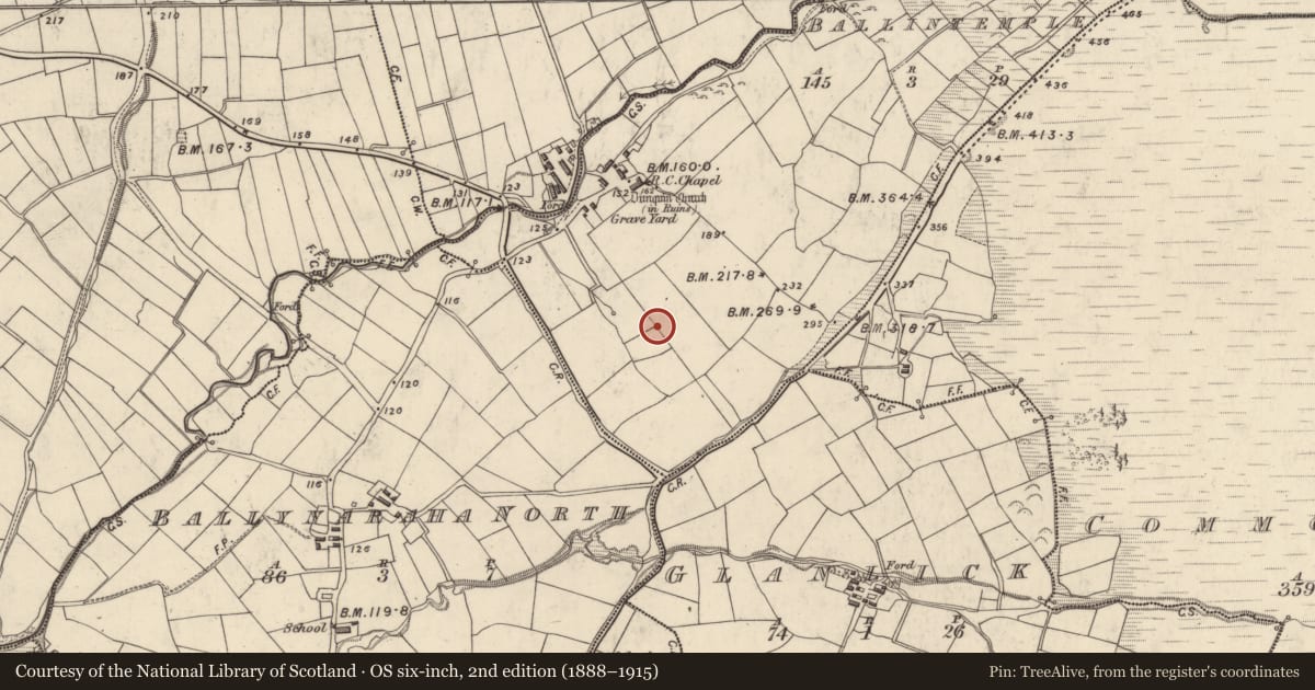 Ordnance Survey six-inch map, 2nd edition (1888–1915) covering the location of Megalithic tomb - wedge tomb, Baile An Teampaill, County Kerry, with a pin at the register's coordinates