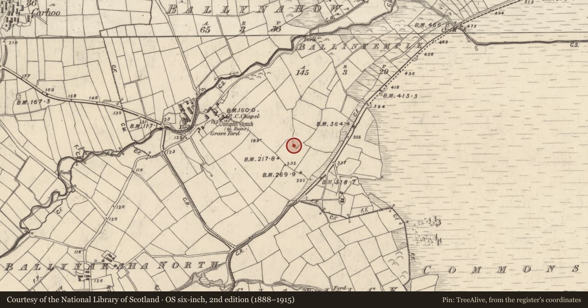 Ordnance Survey six-inch map, 2nd edition (1888–1915) covering the location of Souterrain, Baile An Teampaill, County Kerry, with a pin at the register's coordinates
