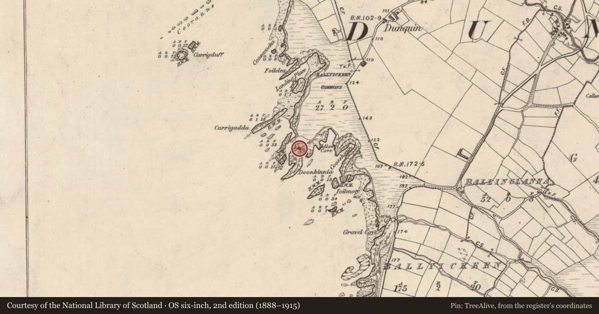 Ordnance Survey six-inch map, 2nd edition (1888–1915) covering the location of Promontory fort - coastal, Coimín Bhaile Ícín, County Kerry, with a pin at the register's coordinates