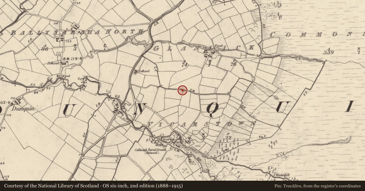 Ordnance Survey six-inch map, 2nd edition (1888–1915) covering the location of Megalithic tomb - unclassified, Baile An Bhiocáire, Gleann Loic, County Kerry, with a pin at the register's coordinates