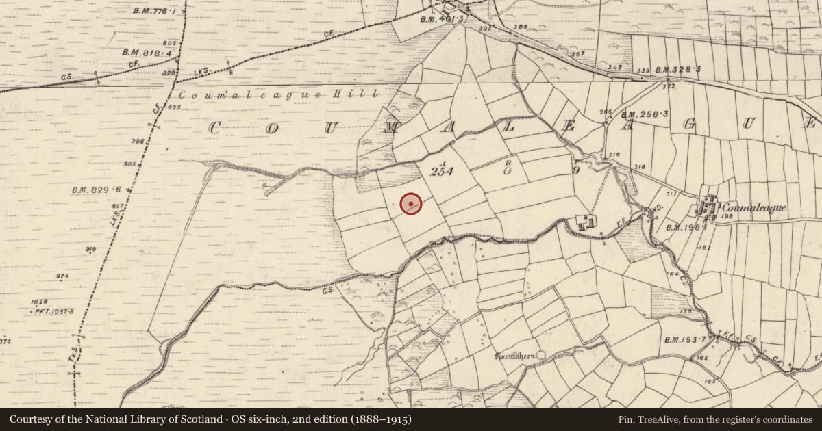 Ordnance Survey six-inch map, 2nd edition (1888–1915) covering the location of Ringfort - rath, Com An Liaigh, County Kerry, with a pin at the register's coordinates
