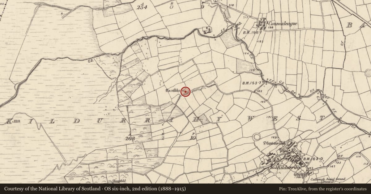 Ordnance Survey six-inch map, 2nd edition (1888–1915) covering the location of Hut site, Cill Ura Thiar, County Kerry, with a pin at the register's coordinates