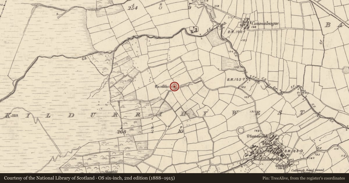 Ordnance Survey six-inch map, 2nd edition (1888–1915) covering the location of Souterrain, Cill Ura Thiar, County Kerry, with a pin at the register's coordinates