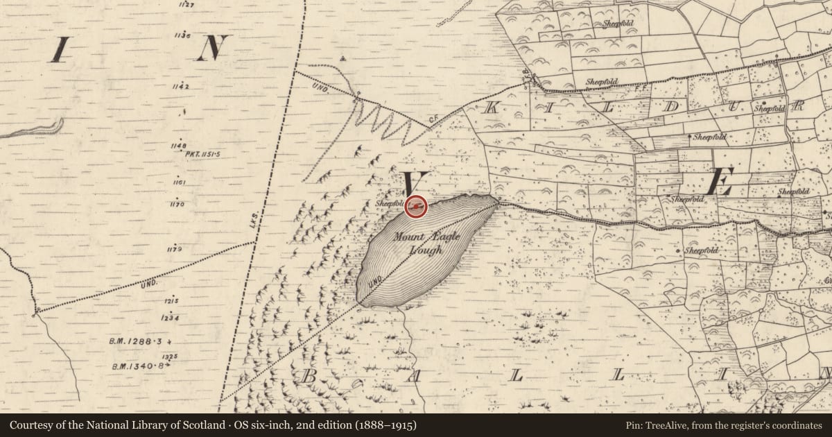 Ordnance Survey six-inch map, 2nd edition (1888–1915) covering the location of Hut site, Cill Ura Thoir, County Kerry, with a pin at the register's coordinates