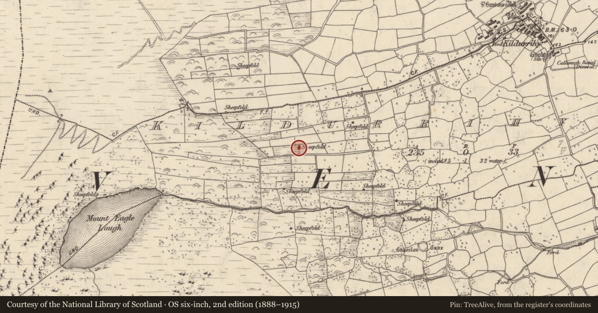 Ordnance Survey six-inch map, 2nd edition (1888–1915) covering the location of Hut site, Cill Ura Thoir, County Kerry, with a pin at the register's coordinates