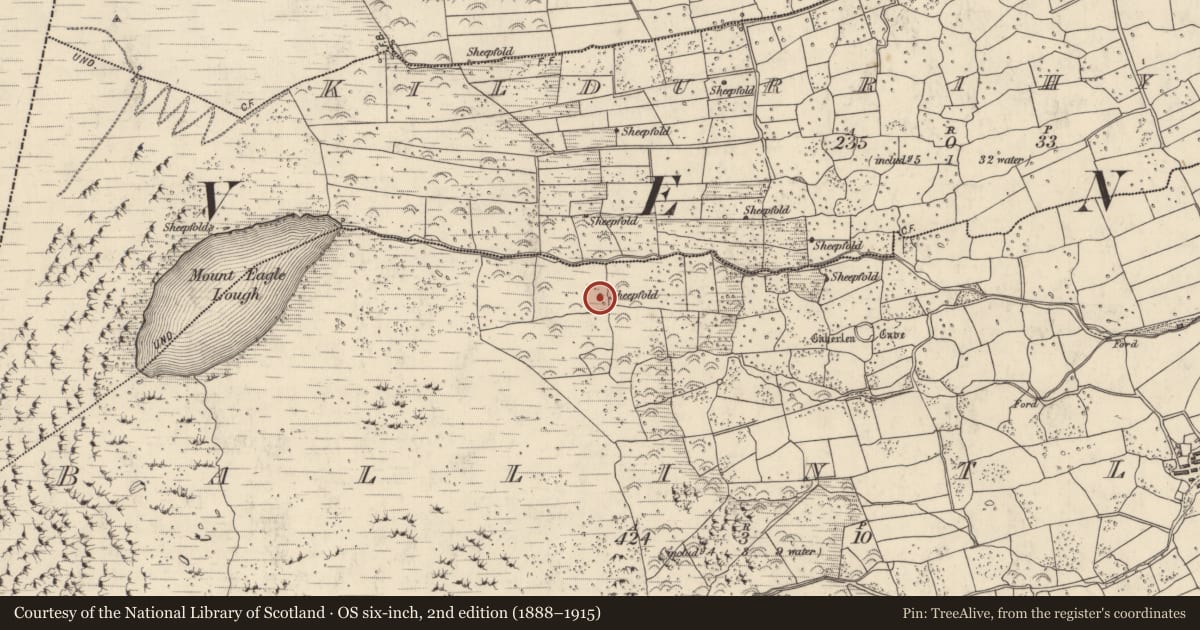 Ordnance Survey six-inch map, 2nd edition (1888–1915) covering the location of Clochan, Baile An Tsléibhe, County Kerry, with a pin at the register's coordinates