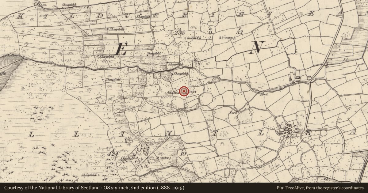 Ordnance Survey six-inch map, 2nd edition (1888–1915) covering the location of Ringfort - cashel, Baile An Tsléibhe, County Kerry, with a pin at the register's coordinates
