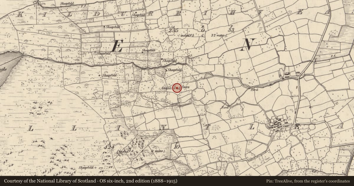 Ordnance Survey six-inch map, 2nd edition (1888–1915) covering the location of Hut site, Baile An Tsléibhe, County Kerry, with a pin at the register's coordinates