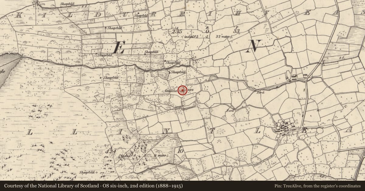 Ordnance Survey six-inch map, 2nd edition (1888–1915) covering the location of Souterrain, Baile An Tsléibhe, County Kerry, with a pin at the register's coordinates