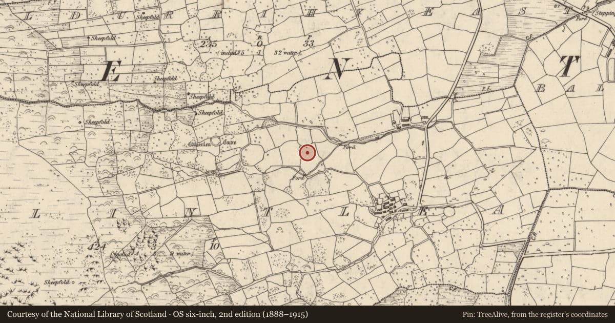 Ordnance Survey six-inch map, 2nd edition (1888–1915) covering the location of Souterrain, Baile An Tsléibhe, County Kerry, with a pin at the register's coordinates