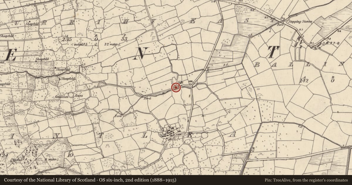 Ordnance Survey six-inch map, 2nd edition (1888–1915) covering the location of Rock art, Baile An Tsléibhe, County Kerry, with a pin at the register's coordinates
