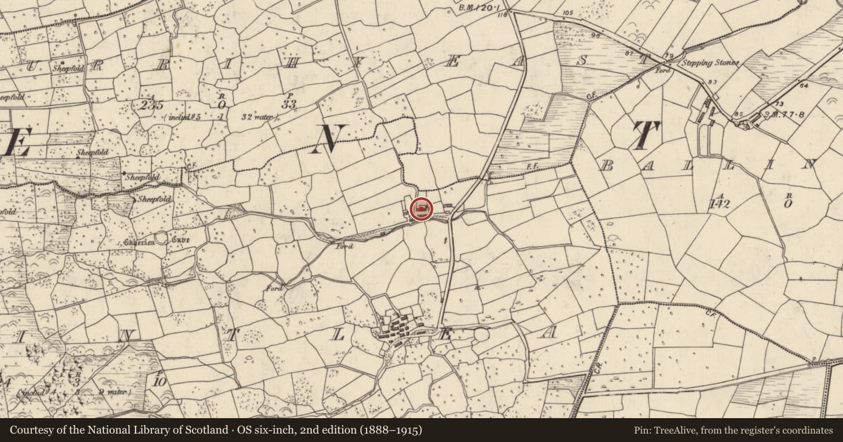 Ordnance Survey six-inch map, 2nd edition (1888–1915) covering the location of Hut site, Baile An Tsléibhe, County Kerry, with a pin at the register's coordinates