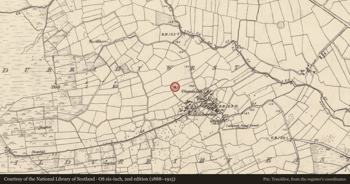 Ordnance Survey six-inch map, 2nd edition (1888–1915) covering the location of Ringfort - rath, Cill Ura Thiar, County Kerry, with a pin at the register's coordinates