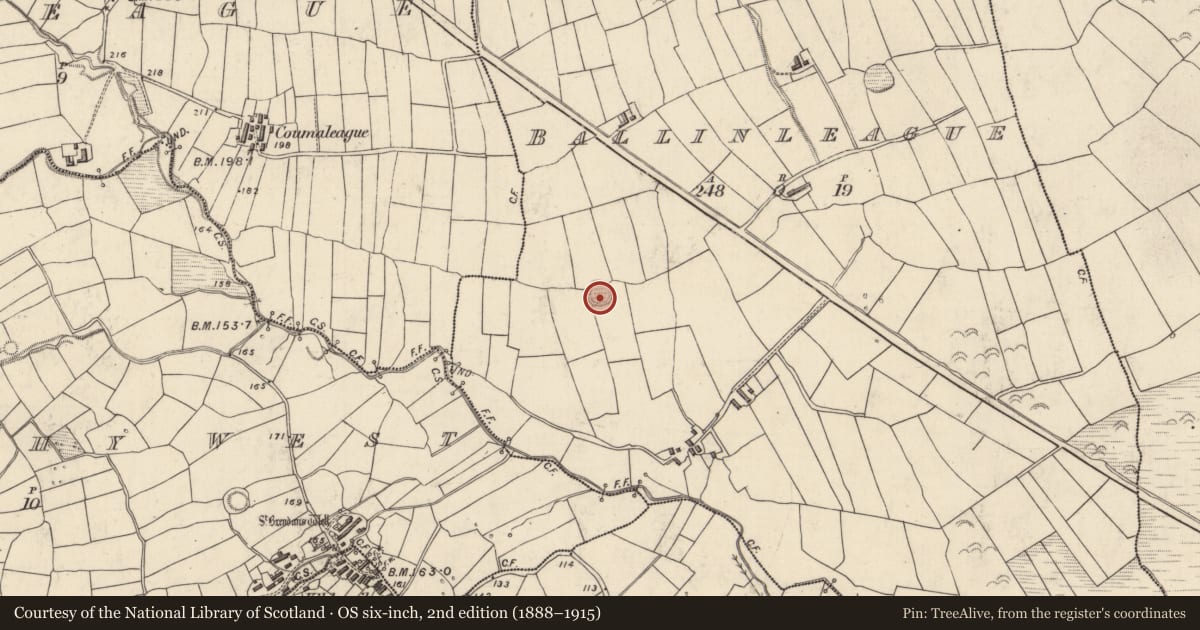 Ordnance Survey six-inch map, 2nd edition (1888–1915) covering the location of Ringfort - rath, Baile An Liaigh, County Kerry, with a pin at the register's coordinates