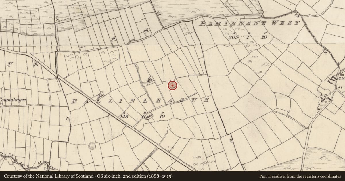 Ordnance Survey six-inch map, 2nd edition (1888–1915) covering the location of Ringfort - rath, Baile An Liaigh, County Kerry, with a pin at the register's coordinates