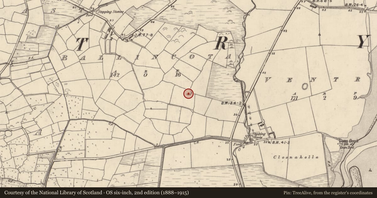 Ordnance Survey six-inch map, 2nd edition (1888–1915) covering the location of Ringfort - rath, Baile An Chótaigh, County Kerry, with a pin at the register's coordinates