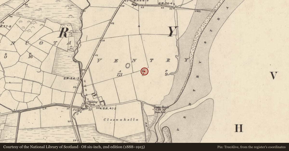 Ordnance Survey six-inch map, 2nd edition (1888–1915) covering the location of Barrow - ring-barrow, Fionntrá, County Kerry, with a pin at the register's coordinates