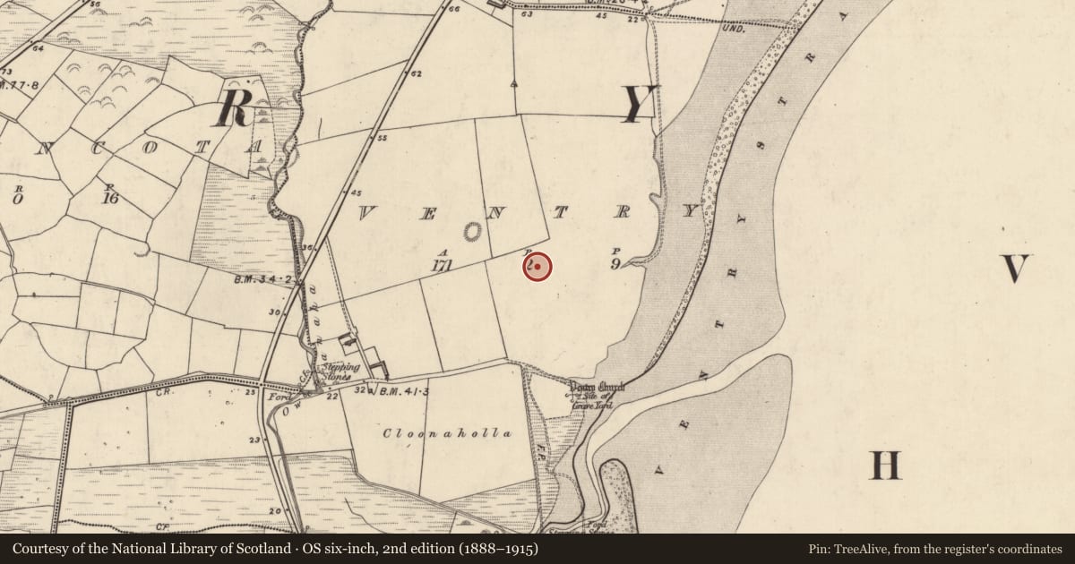 Ordnance Survey six-inch map, 2nd edition (1888–1915) covering the location of Ringfort - rath, Fionntrá, County Kerry, with a pin at the register's coordinates