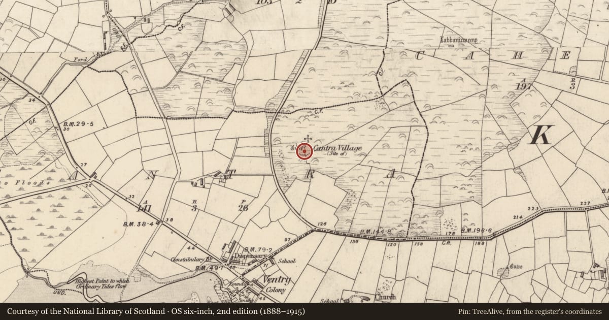 Ordnance Survey six-inch map, 2nd edition (1888–1915) covering the location of Ringfort - cashel, Ceann Trá, County Kerry, with a pin at the register's coordinates