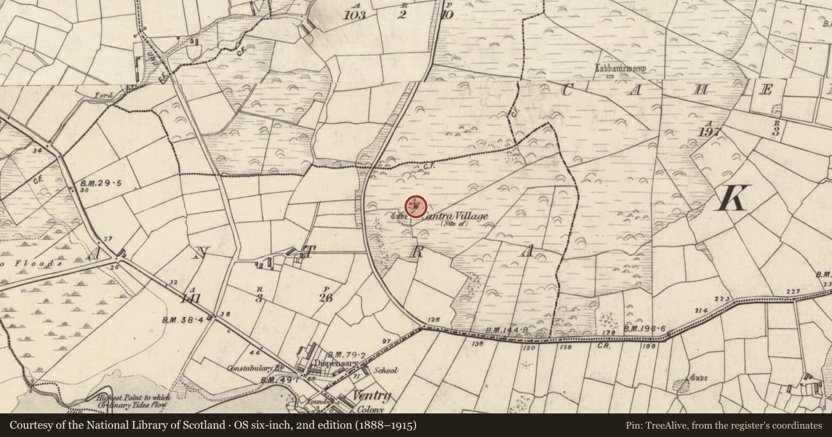 Ordnance Survey six-inch map, 2nd edition (1888–1915) covering the location of Settlement cluster, Ceann Trá, County Kerry, with a pin at the register's coordinates