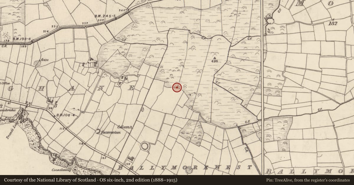 Ordnance Survey six-inch map, 2nd edition (1888–1915) covering the location of Ringfort - cashel, Baile Mór Thiar, County Kerry, with a pin at the register's coordinates