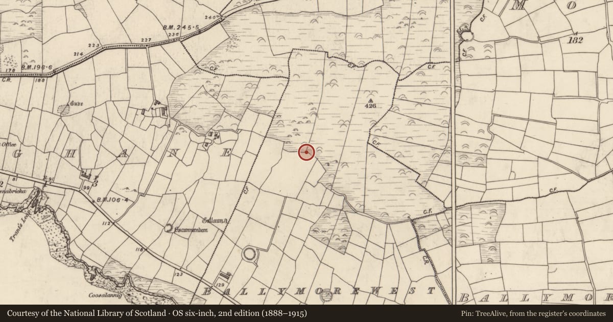 Ordnance Survey six-inch map, 2nd edition (1888–1915) covering the location of Hut site, Baile Mór Thiar, County Kerry, with a pin at the register's coordinates