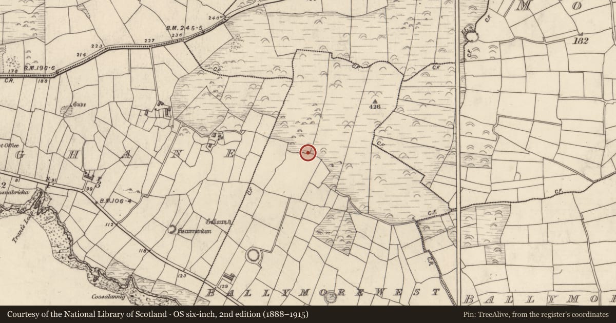 Ordnance Survey six-inch map, 2nd edition (1888–1915) covering the location of Hut site, Baile Mór Thiar, County Kerry, with a pin at the register's coordinates