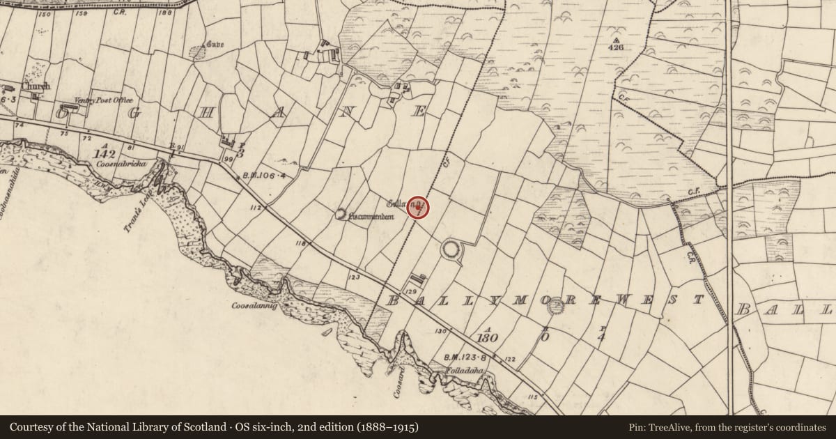 Ordnance Survey six-inch map, 2nd edition (1888–1915) covering the location of Standing stone, An Clochán (TC Na Gleannta), County Kerry, with a pin at the register's coordinates