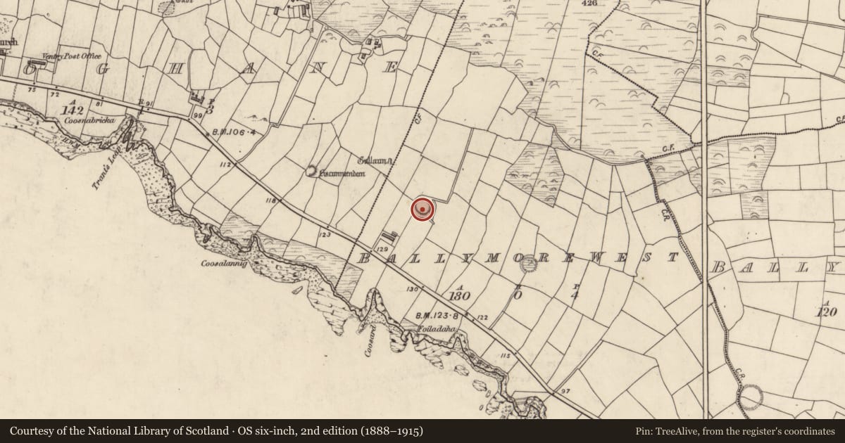 Ordnance Survey six-inch map, 2nd edition (1888–1915) covering the location of Ringfort - rath, Baile Mór Thiar, County Kerry, with a pin at the register's coordinates