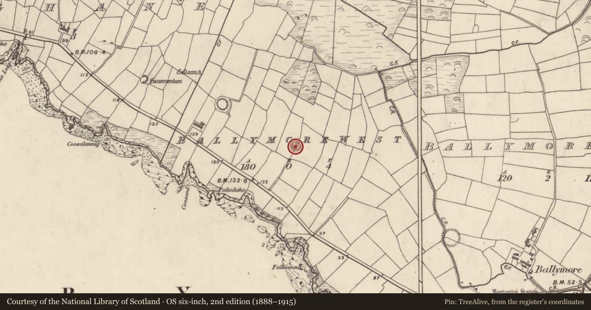 Ordnance Survey six-inch map, 2nd edition (1888–1915) covering the location of Clochan, Baile Mór Thiar, County Kerry, with a pin at the register's coordinates