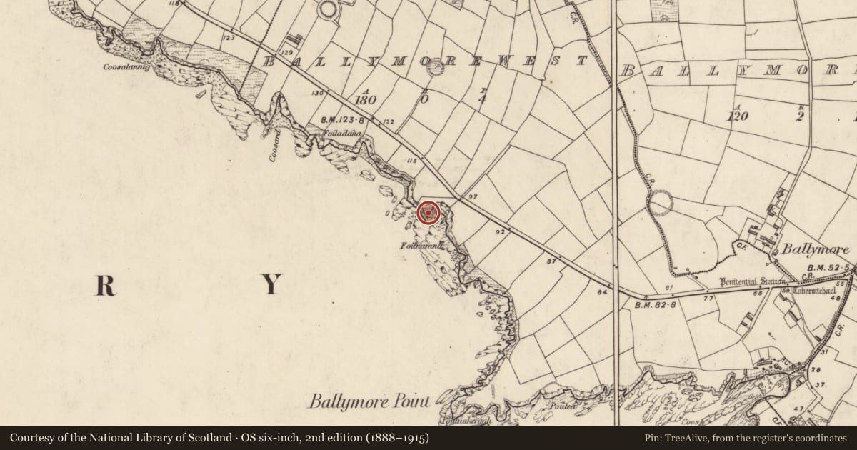 Ordnance Survey six-inch map, 2nd edition (1888–1915) covering the location of Promontory fort - coastal, Baile Mór Thiar, County Kerry, with a pin at the register's coordinates
