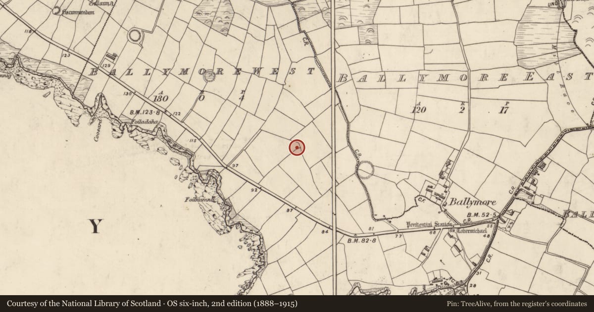 Ordnance Survey six-inch map, 2nd edition (1888–1915) covering the location of Souterrain, Baile Mór Thiar, County Kerry, with a pin at the register's coordinates