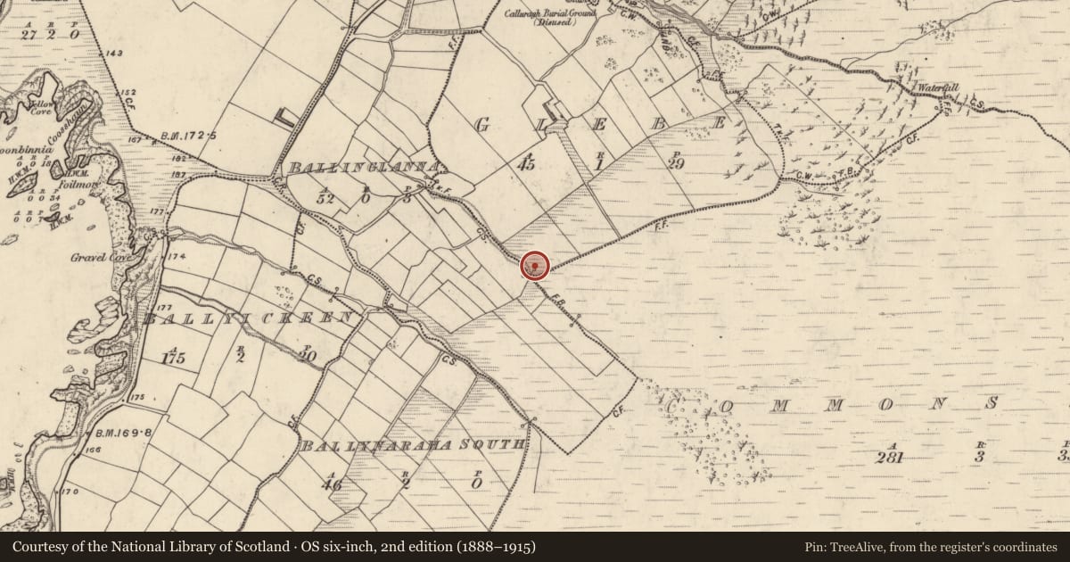 Ordnance Survey six-inch map, 2nd edition (1888–1915) covering the location of Clochan, An Tseantóir, County Kerry, with a pin at the register's coordinates