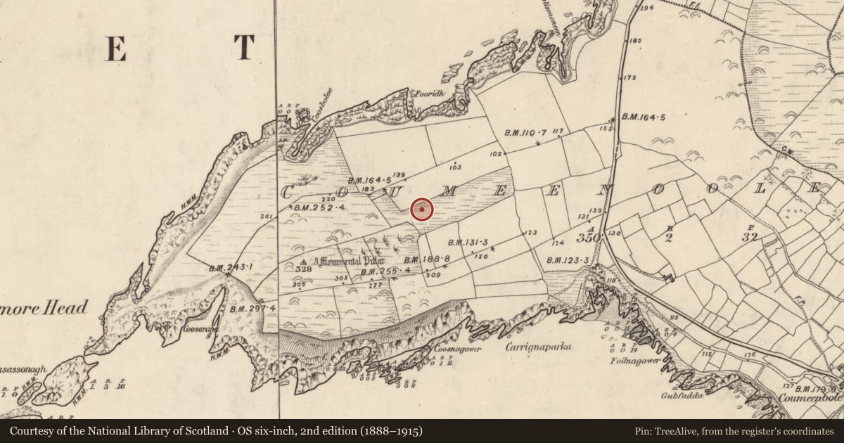 Ordnance Survey six-inch map, 2nd edition (1888–1915) covering the location of Promontory fort - coastal, Com Dhíneol Thuaidh, County Kerry, with a pin at the register's coordinates