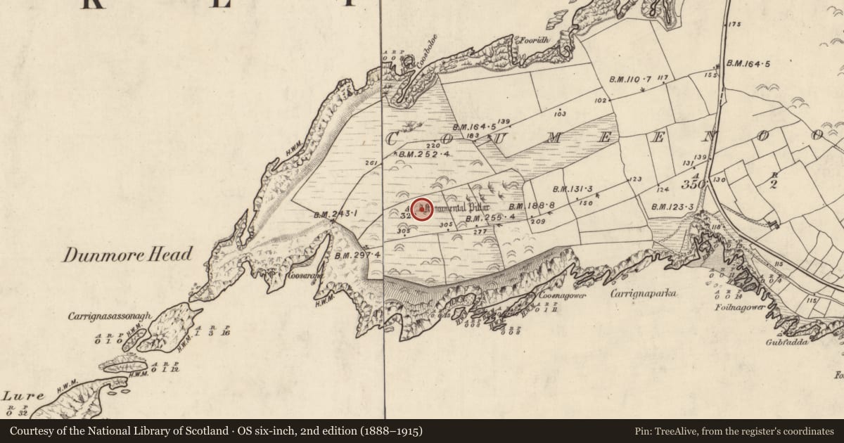 Ordnance Survey six-inch map, 2nd edition (1888–1915) covering the location of Ogham stone, Com Dhíneol Thuaidh, County Kerry, with a pin at the register's coordinates