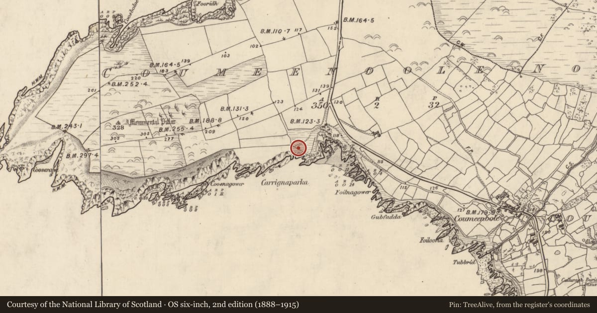 Ordnance Survey six-inch map, 2nd edition (1888–1915) covering the location of Burial, Com Dhíneol Thuaidh, County Kerry, with a pin at the register's coordinates