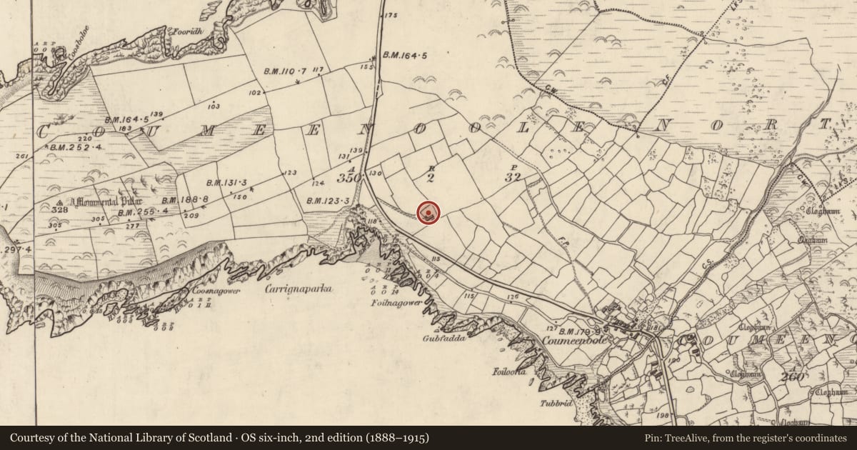 Ordnance Survey six-inch map, 2nd edition (1888–1915) covering the location of Clochan, Com Dhíneol Thuaidh, County Kerry, with a pin at the register's coordinates