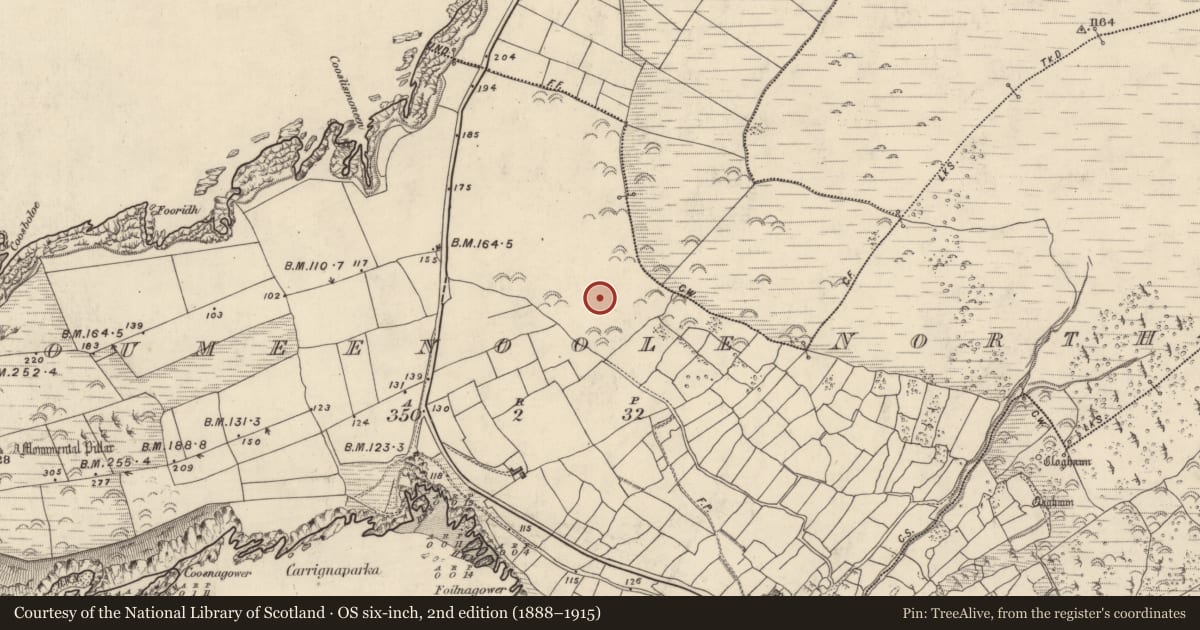Ordnance Survey six-inch map, 2nd edition (1888–1915) covering the location of Clochan, Com Dhíneol Thuaidh, County Kerry, with a pin at the register's coordinates