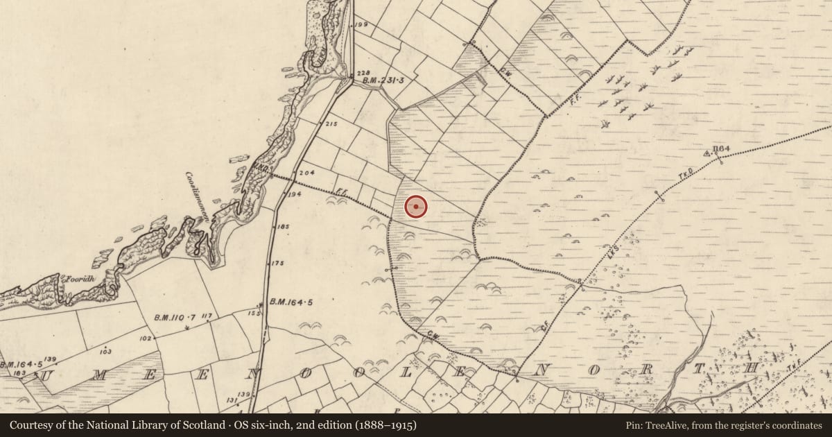 Ordnance Survey six-inch map, 2nd edition (1888–1915) covering the location of Hut site, Baile Ícín, County Kerry, with a pin at the register's coordinates