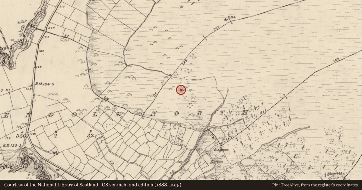 Ordnance Survey six-inch map, 2nd edition (1888–1915) covering the location of Hut site, Com Dhíneol Thuaidh, County Kerry, with a pin at the register's coordinates