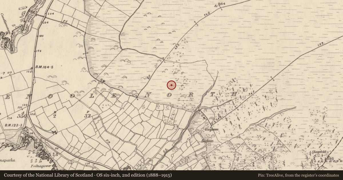 Ordnance Survey six-inch map, 2nd edition (1888–1915) covering the location of Souterrain, Com Dhíneol Thuaidh, County Kerry, with a pin at the register's coordinates